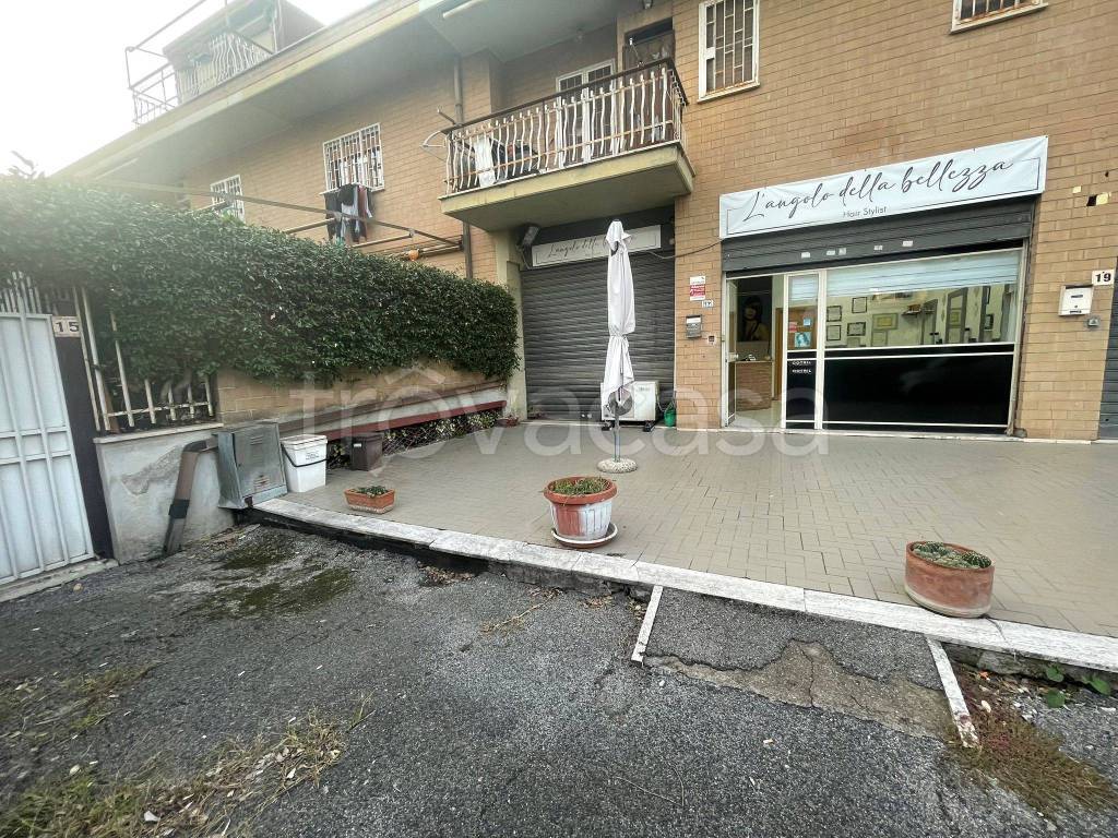 immagine annuncio 2 di 15