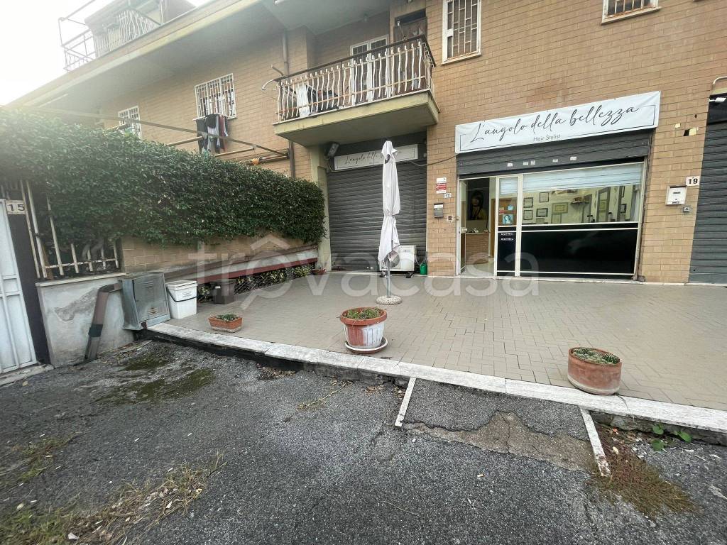 immagine annuncio 5 di 15