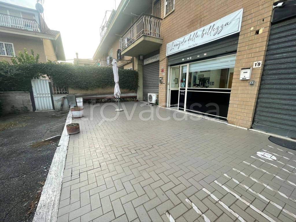 immagine annuncio 6 di 15