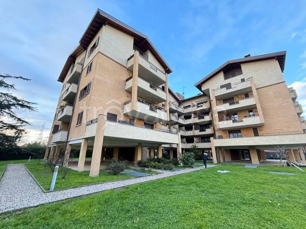 immagine annuncio 5 di 12