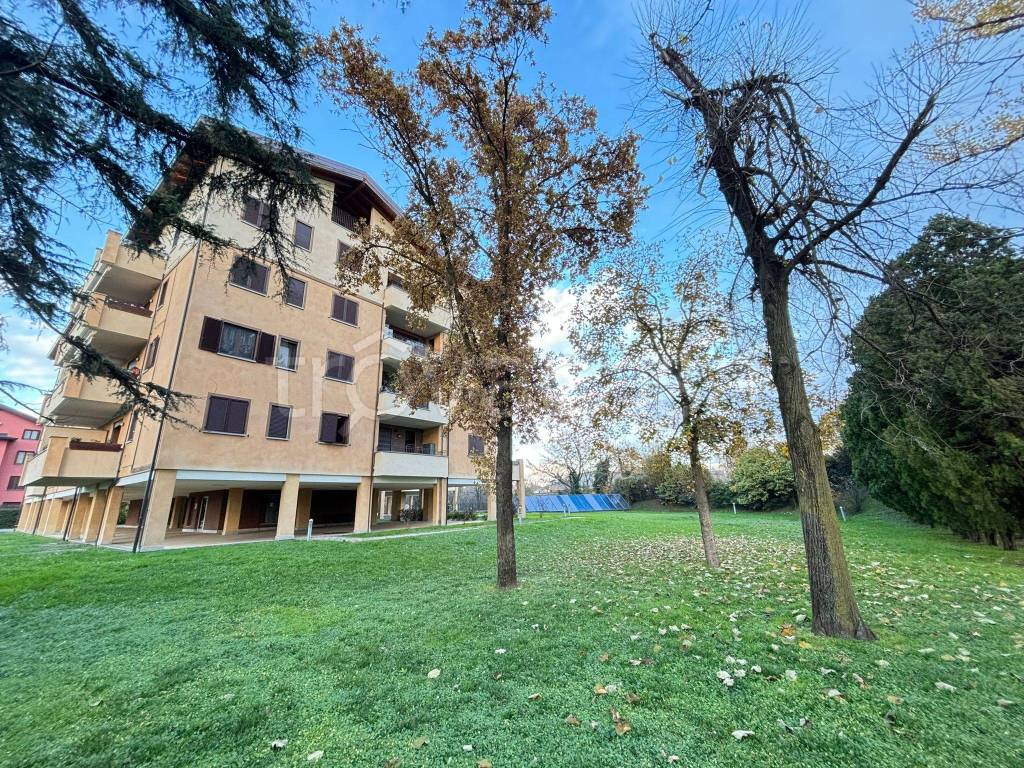 immagine annuncio 11 di 12