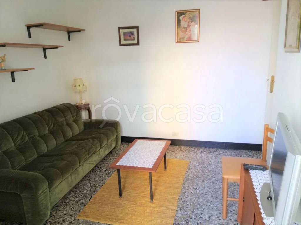 immagine annuncio 5 di 14