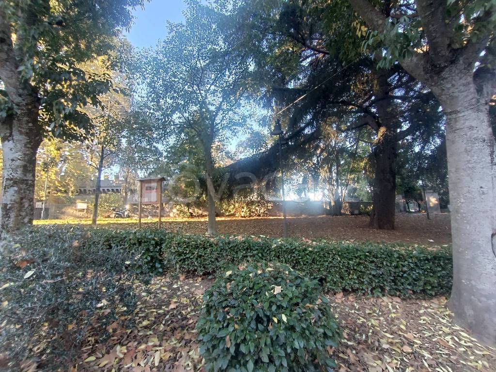 immagine annuncio 3 di 8