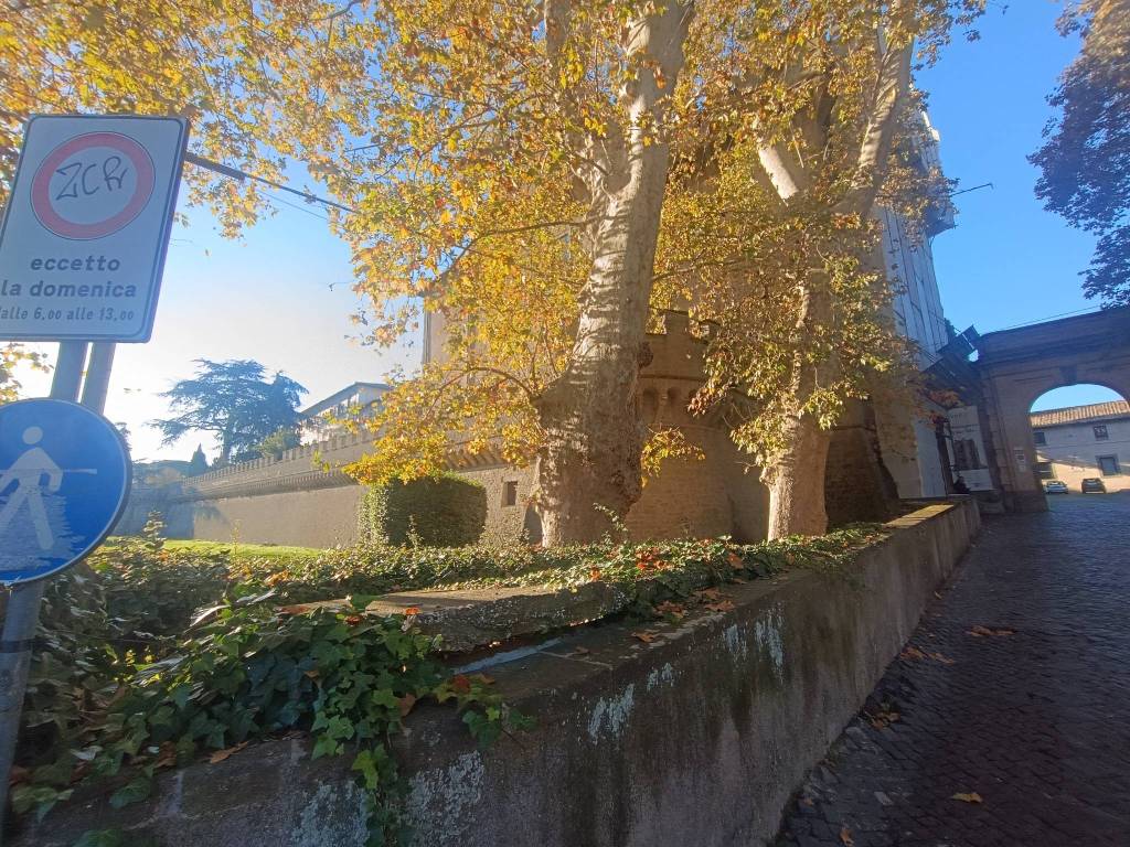 immagine annuncio 4 di 8