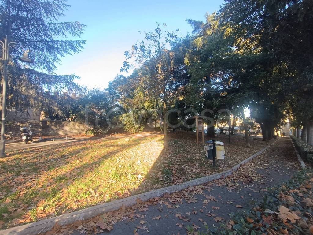 immagine annuncio 6 di 8