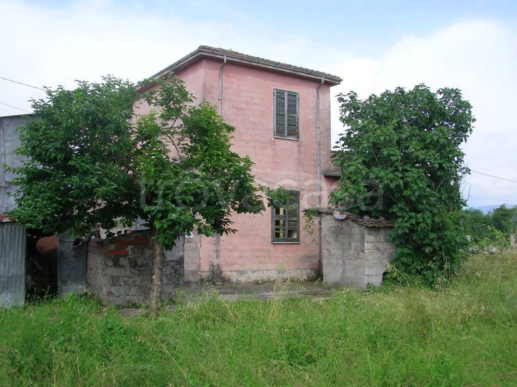 immagine annuncio 2 di 13