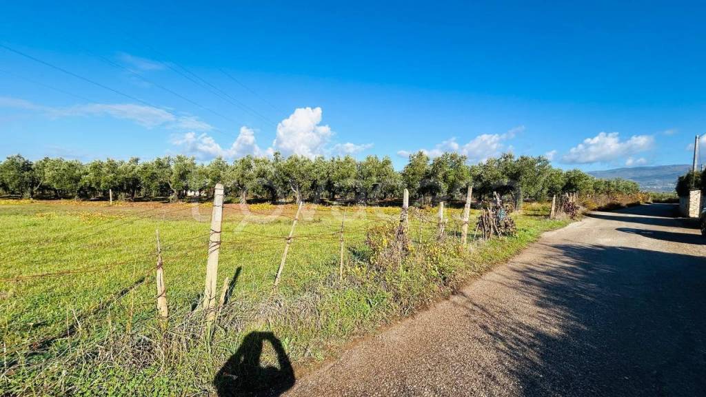 immagine annuncio 3 di 11