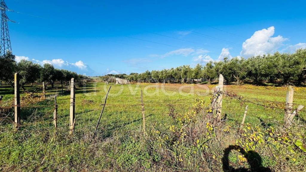 immagine annuncio 4 di 11