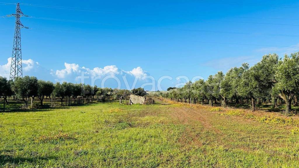 immagine annuncio 5 di 11