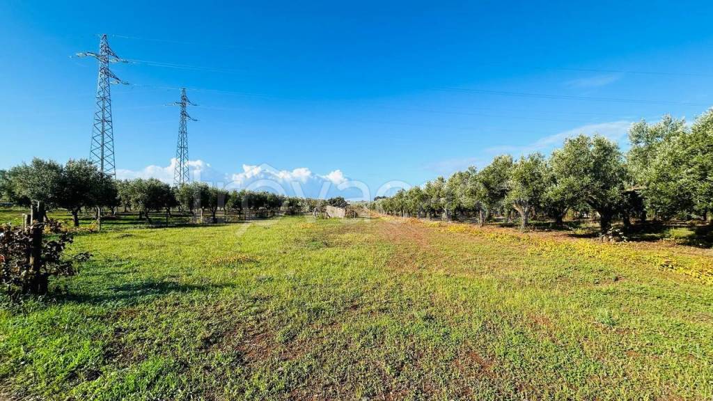 immagine annuncio 7 di 11