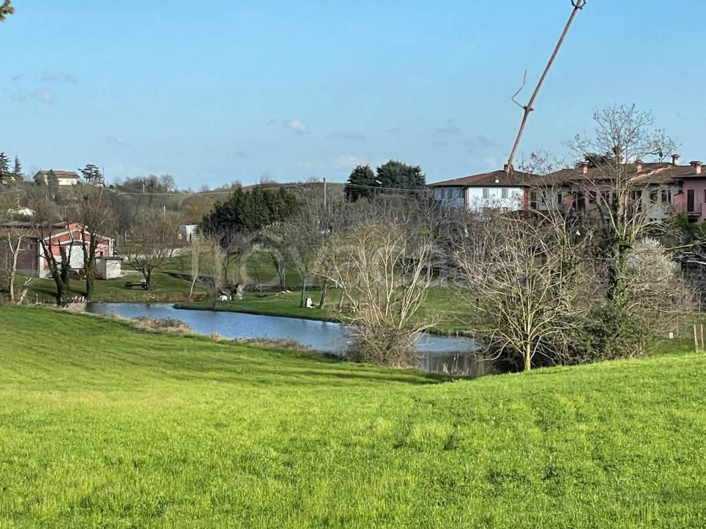 immagine annuncio 3 di 14