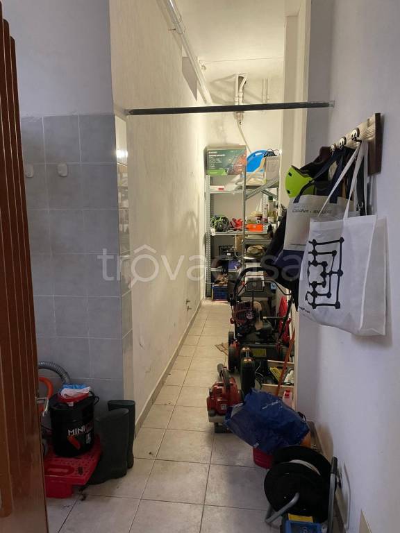 immagine annuncio 11 di 14