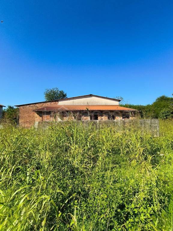 immagine annuncio 9 di 11