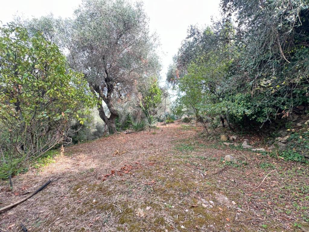 immagine annuncio 9 di 13