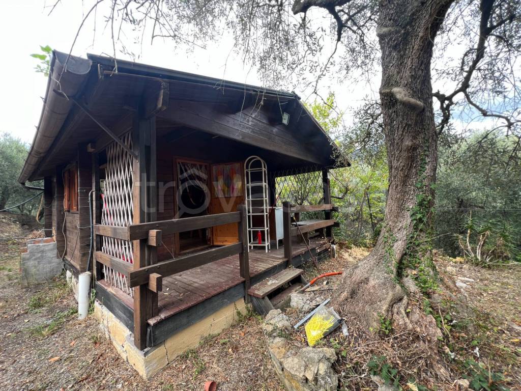 immagine annuncio 11 di 13