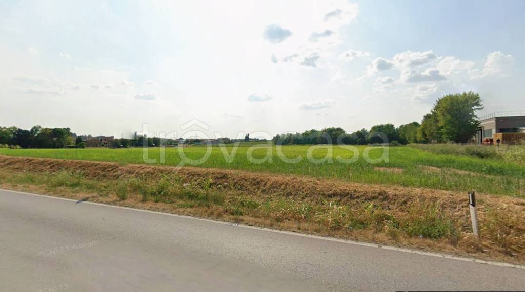 immagine annuncio 6 di 14