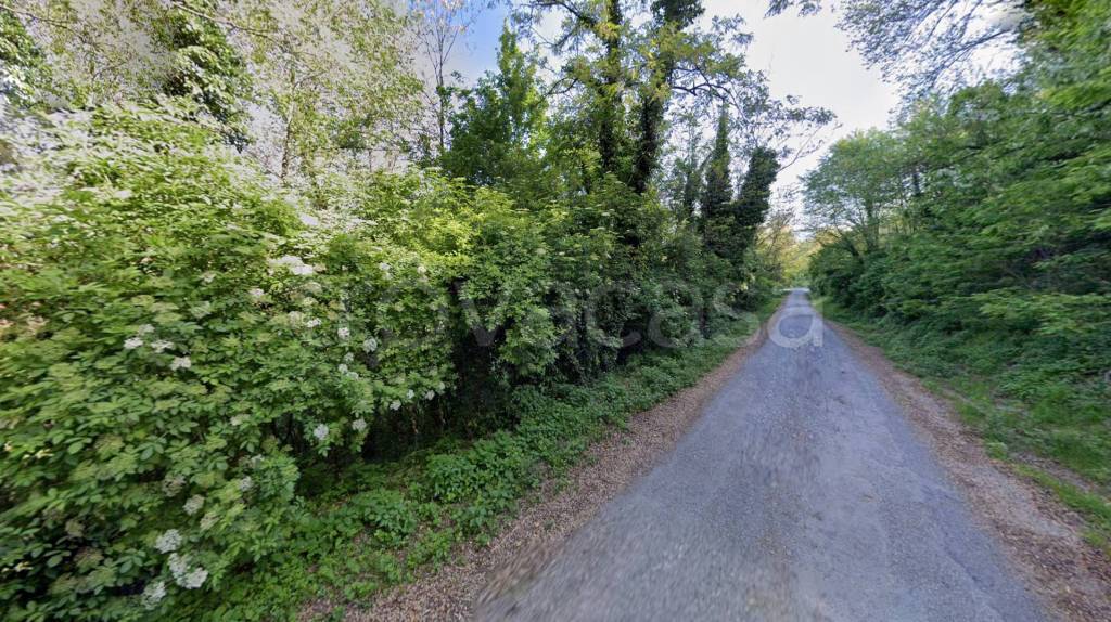 immagine annuncio 11 di 14