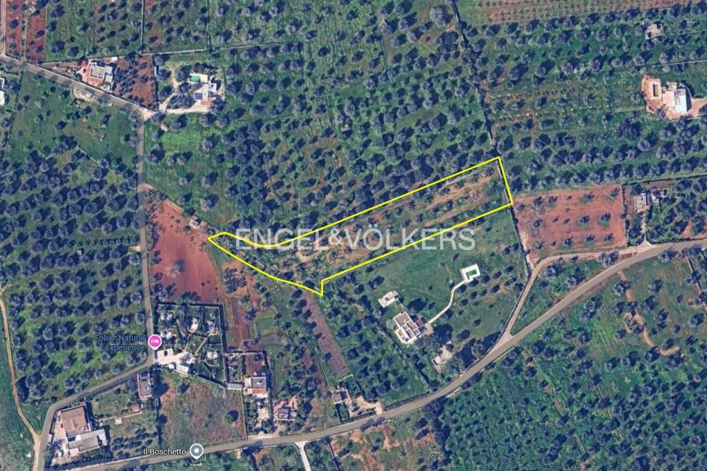 immagine annuncio 5 di 6