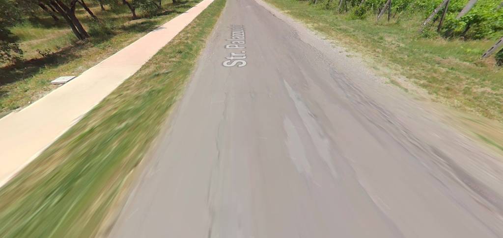 immagine annuncio 3 di 11