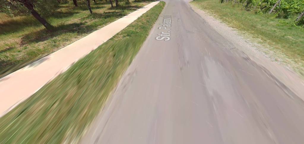 immagine annuncio 7 di 11