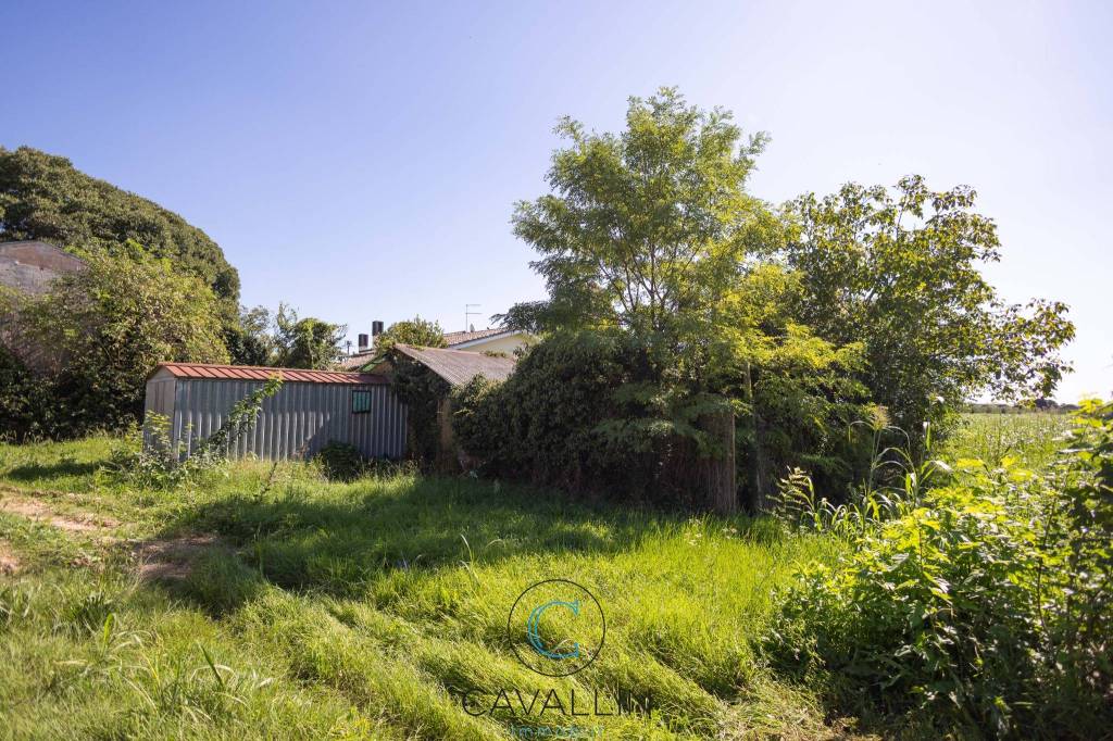 immagine annuncio 2 di 3