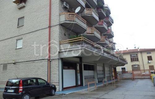 immagine annuncio 3 di 8