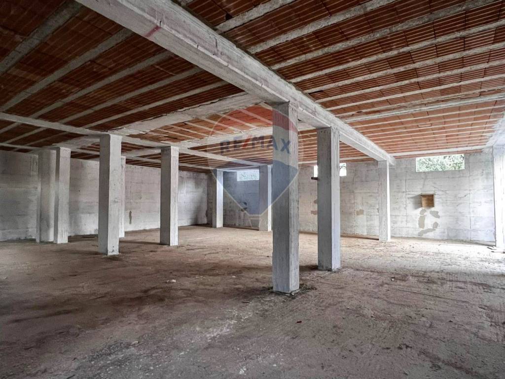 immagine annuncio 12 di 14