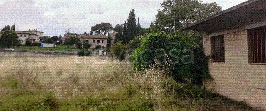 immagine annuncio 7 di 14