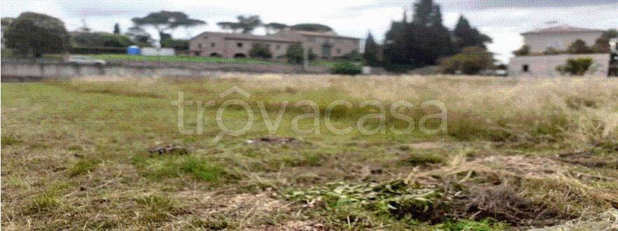 immagine annuncio 8 di 14