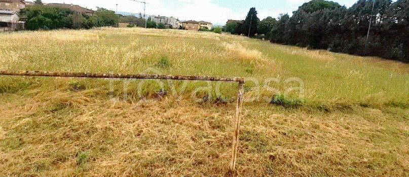 immagine annuncio 10 di 14