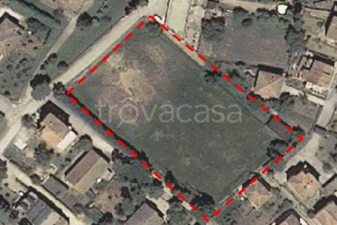 immagine annuncio 12 di 14