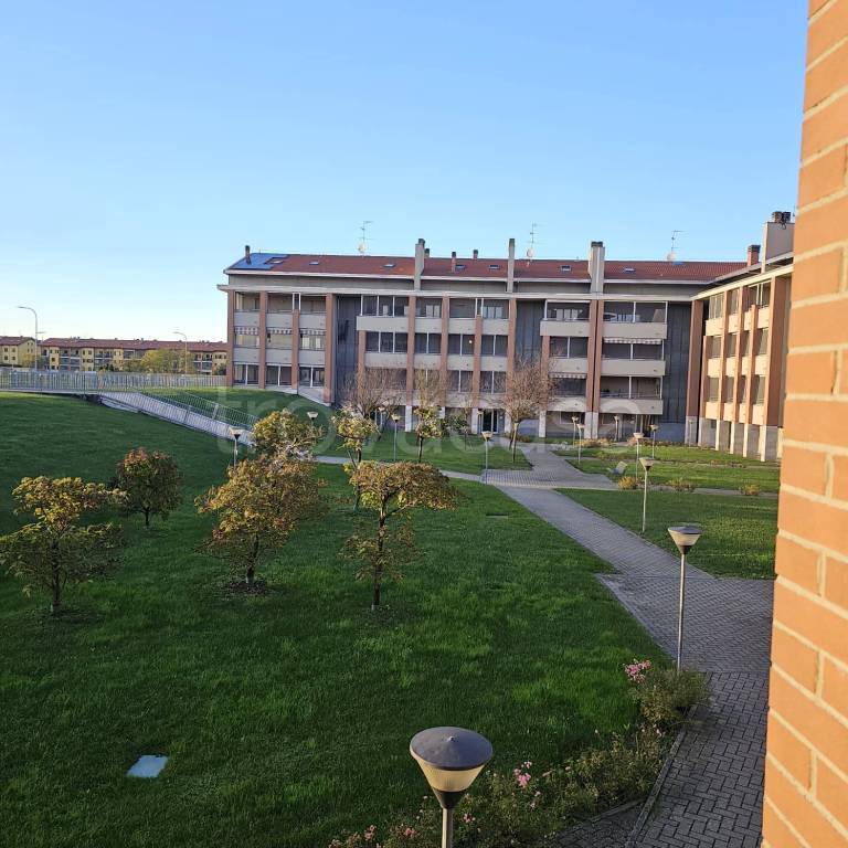 immagine annuncio 12 di 13