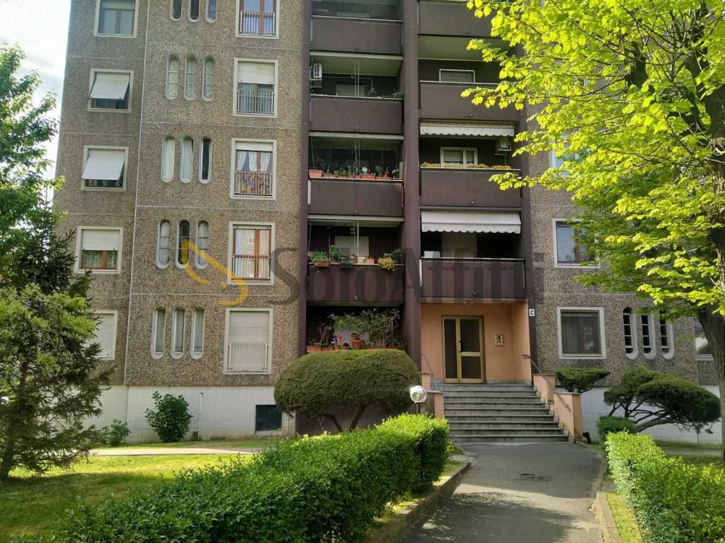 immagine annuncio 7 di 15