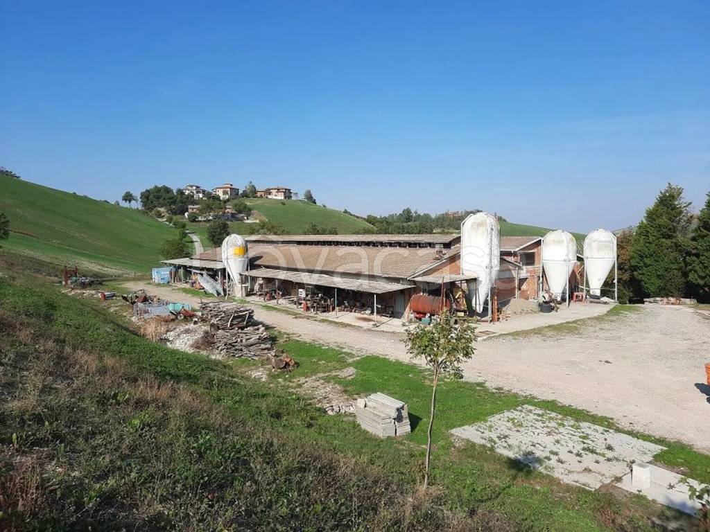 immagine annuncio 1 di 2