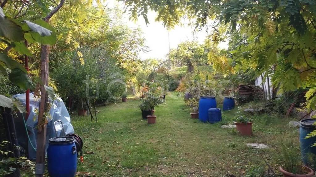 immagine annuncio 2 di 7