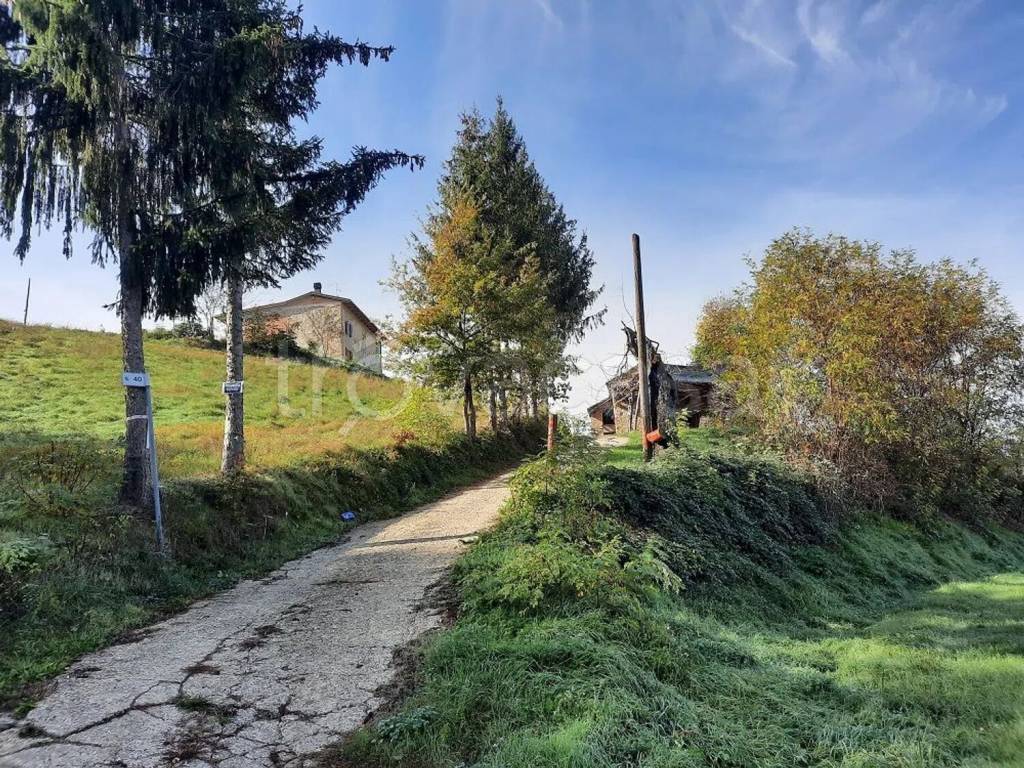 immagine annuncio 5 di 6