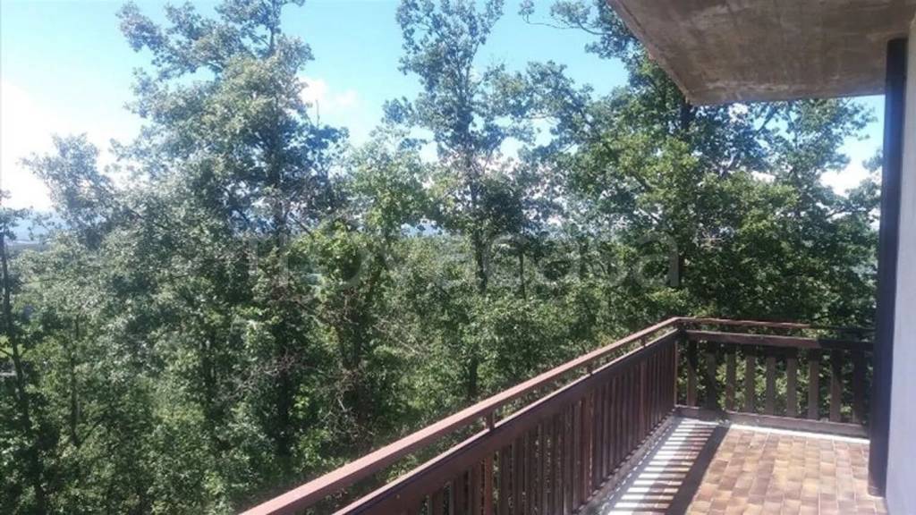 immagine annuncio 4 di 8