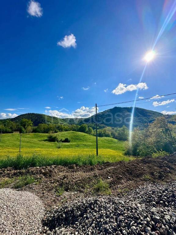 immagine annuncio 1 di 6