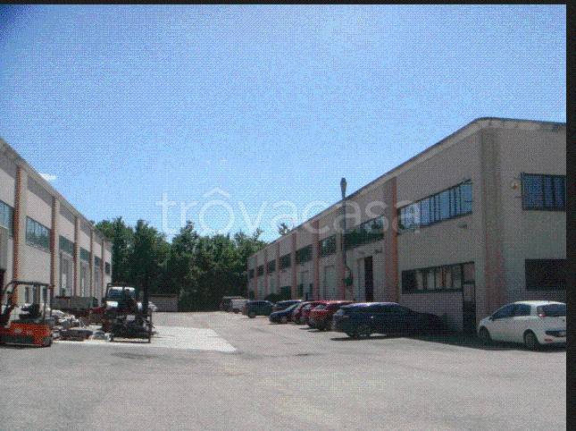 immagine annuncio 3 di 13