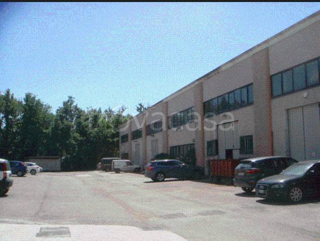 immagine annuncio 4 di 13