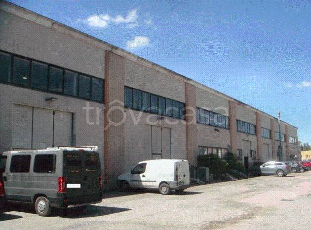 immagine annuncio 5 di 13