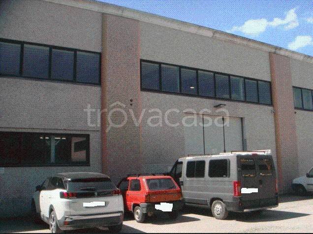 immagine annuncio 6 di 13