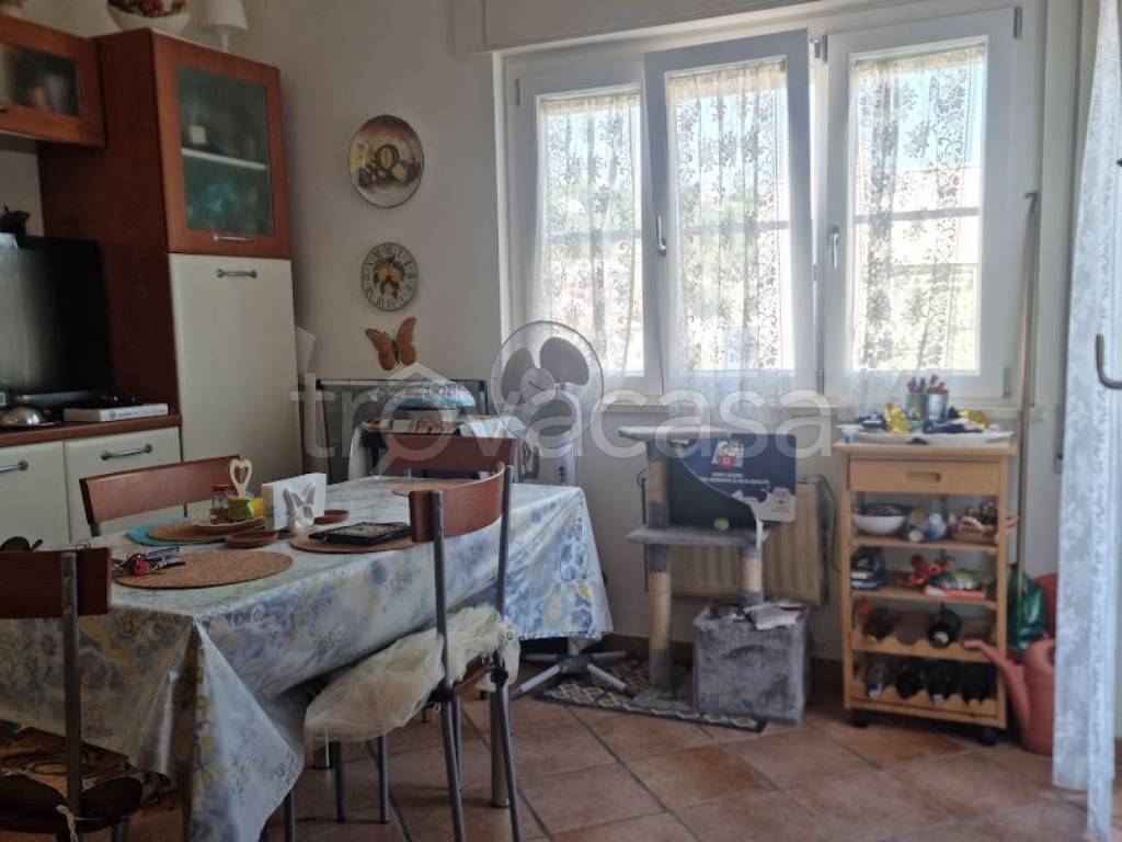 immagine annuncio 4 di 13