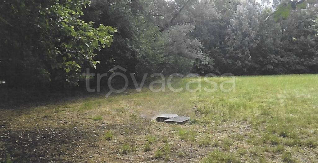 immagine annuncio 4 di 6