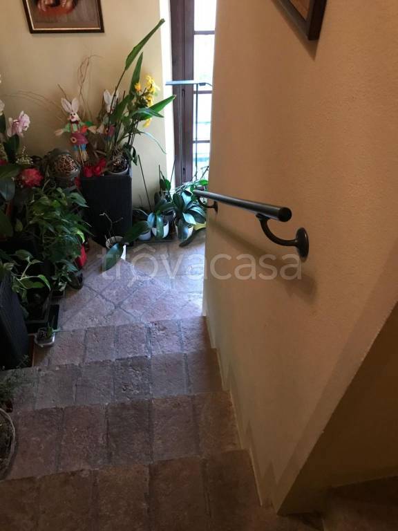 immagine annuncio 3 di 7