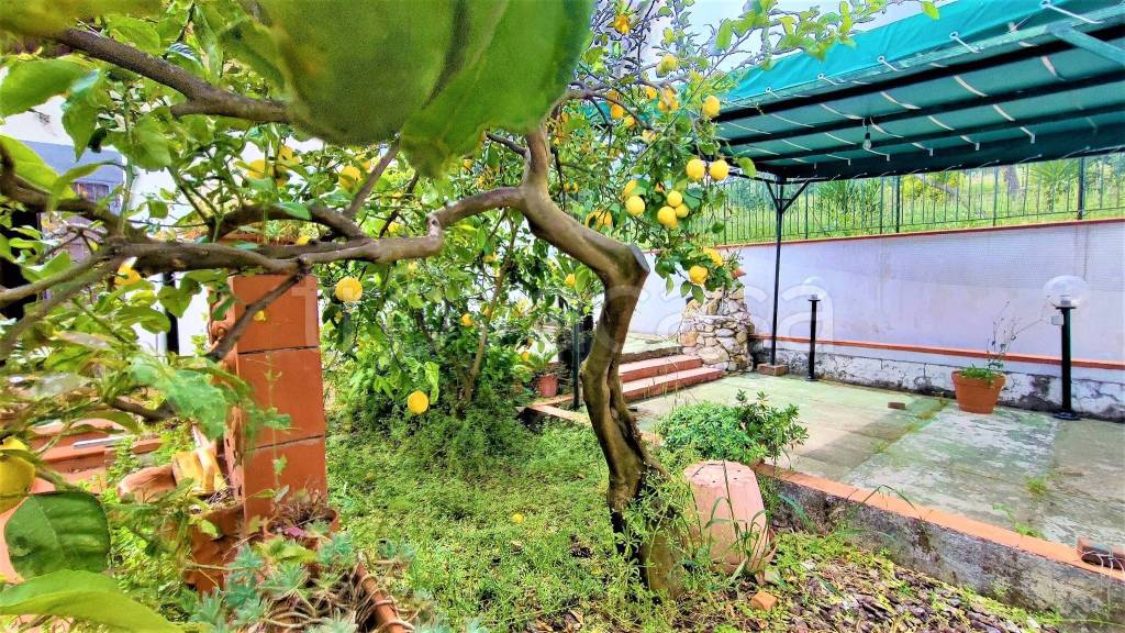 immagine annuncio 6 di 13