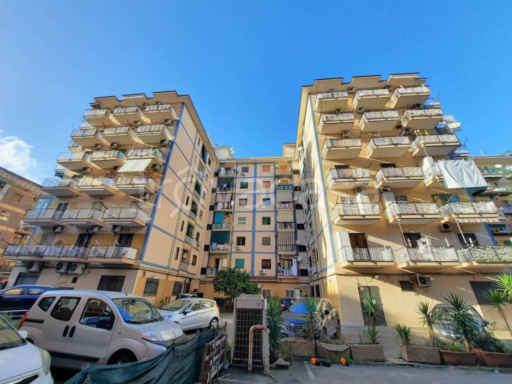 immagine annuncio 3 di 7