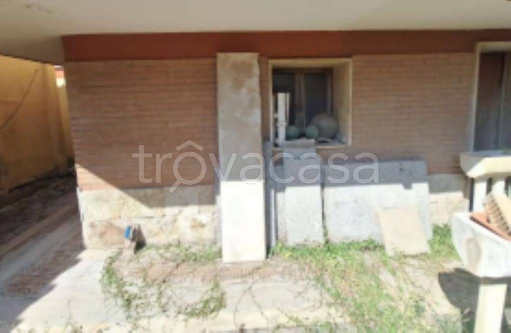 immagine annuncio 1 di 14