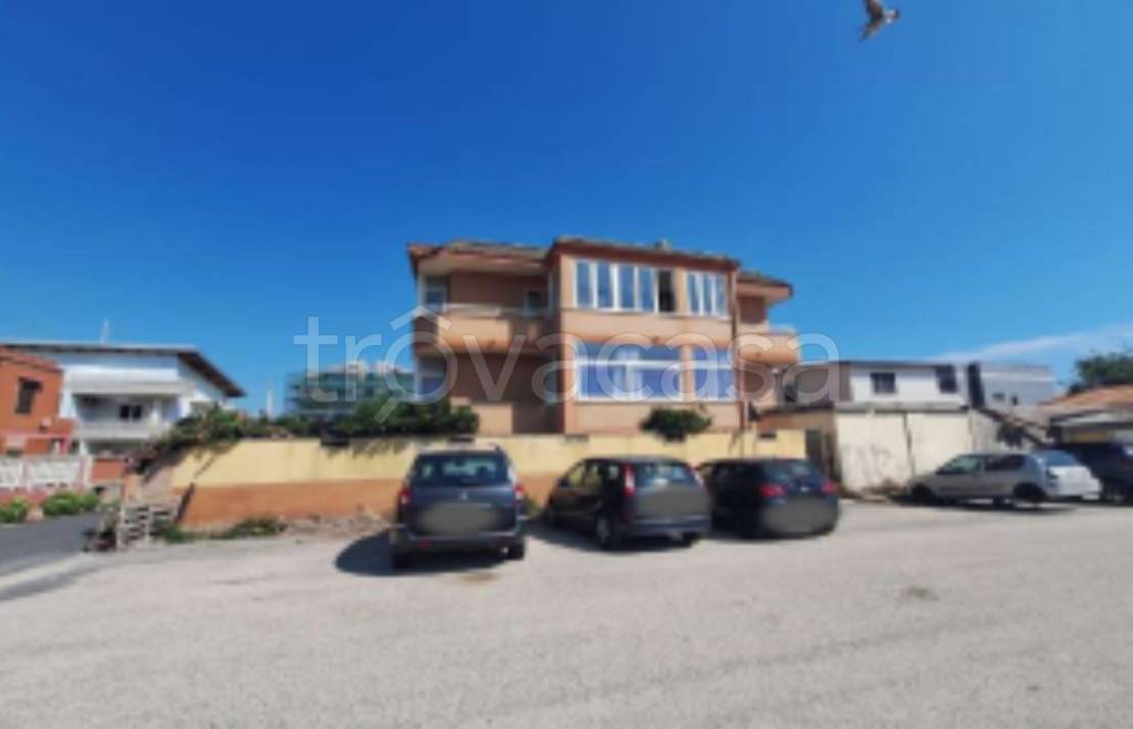 immagine annuncio 4 di 14