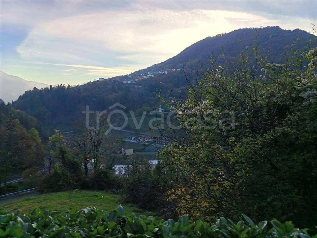 immagine annuncio 8 di 12